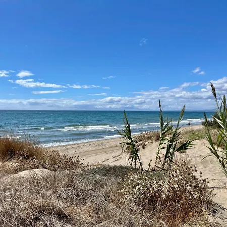 Apartment Alicate Beachfront - Eaw Homes Marbella